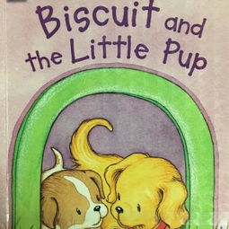 小空間，大世界 走進(jìn)Ethan的“小小電臺(tái)”